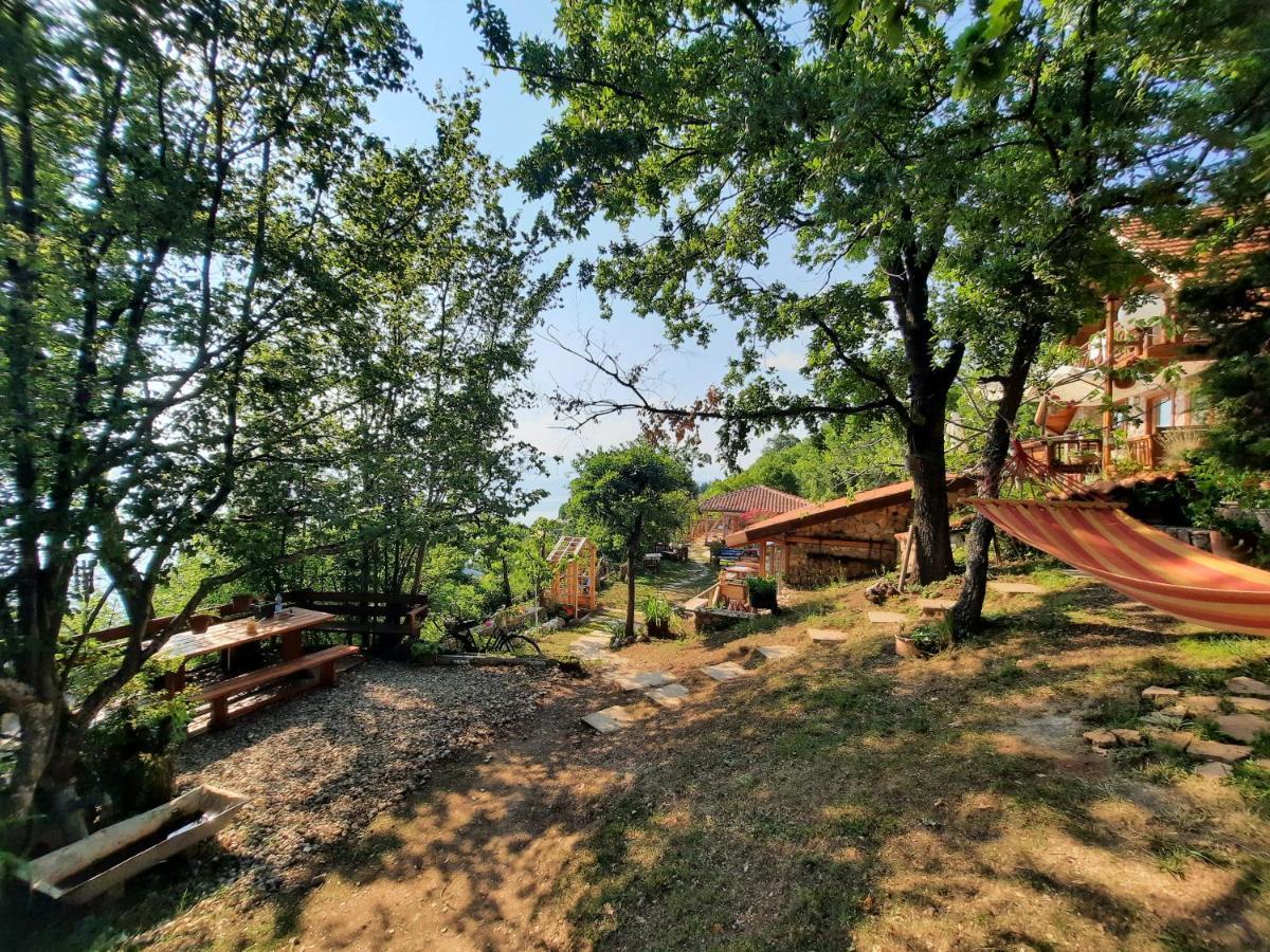 לגדין Robinson Sunset Guest House מראה חיצוני תמונה