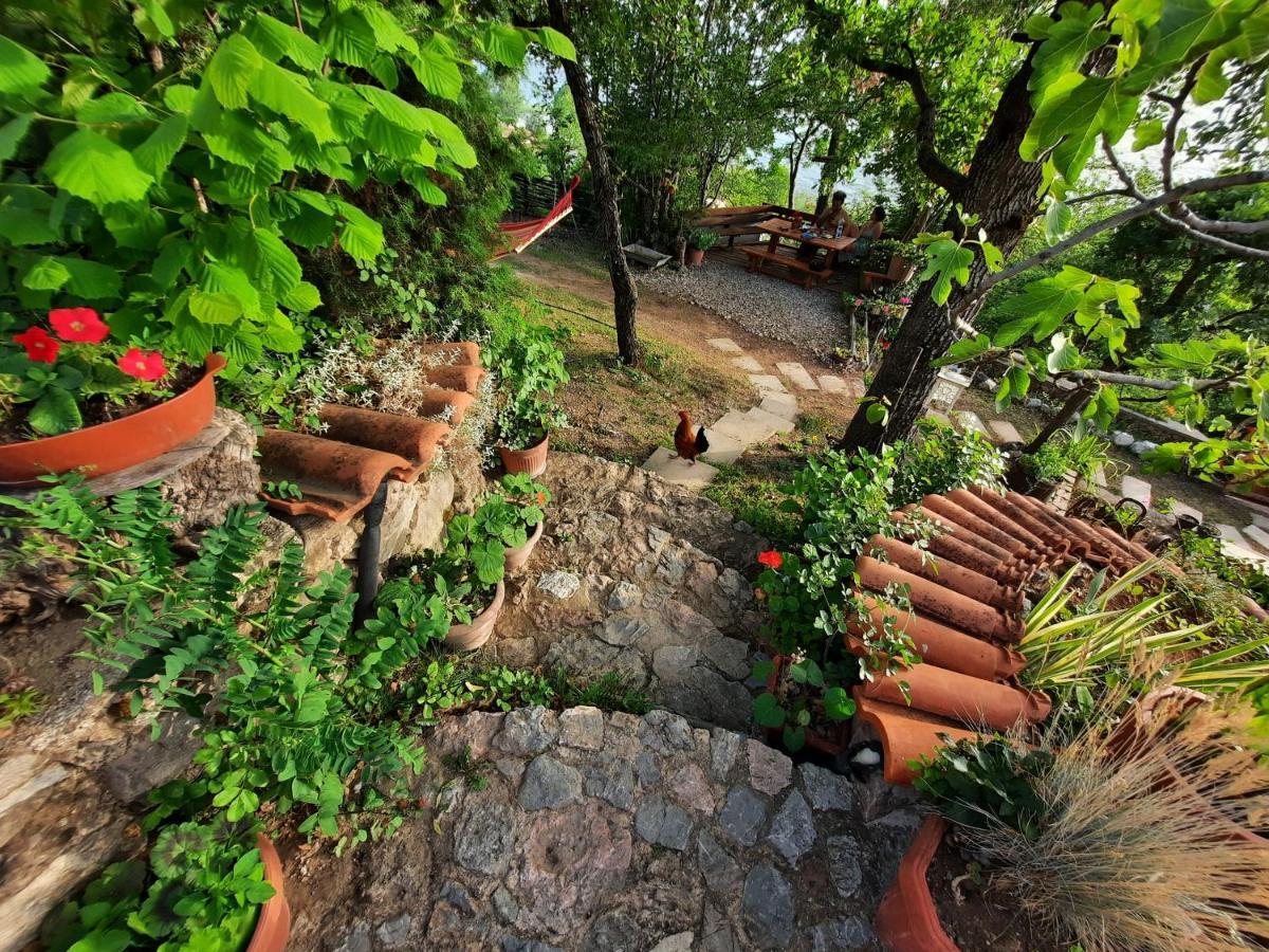 לגדין Robinson Sunset Guest House מראה חיצוני תמונה